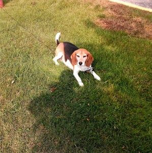 Meet your Posher, Anthony